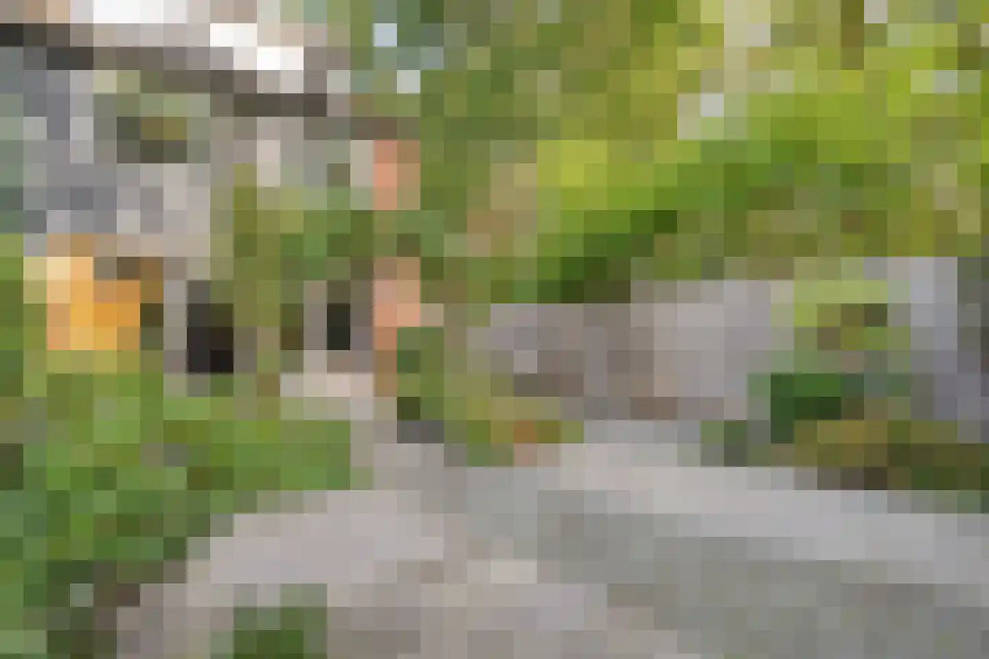 Vastertlanden 38 Enschede thumbnail 42