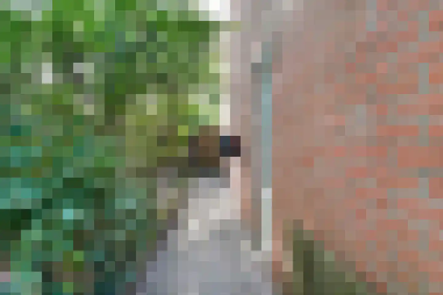 Vastertlanden 38 Enschede thumbnail 45