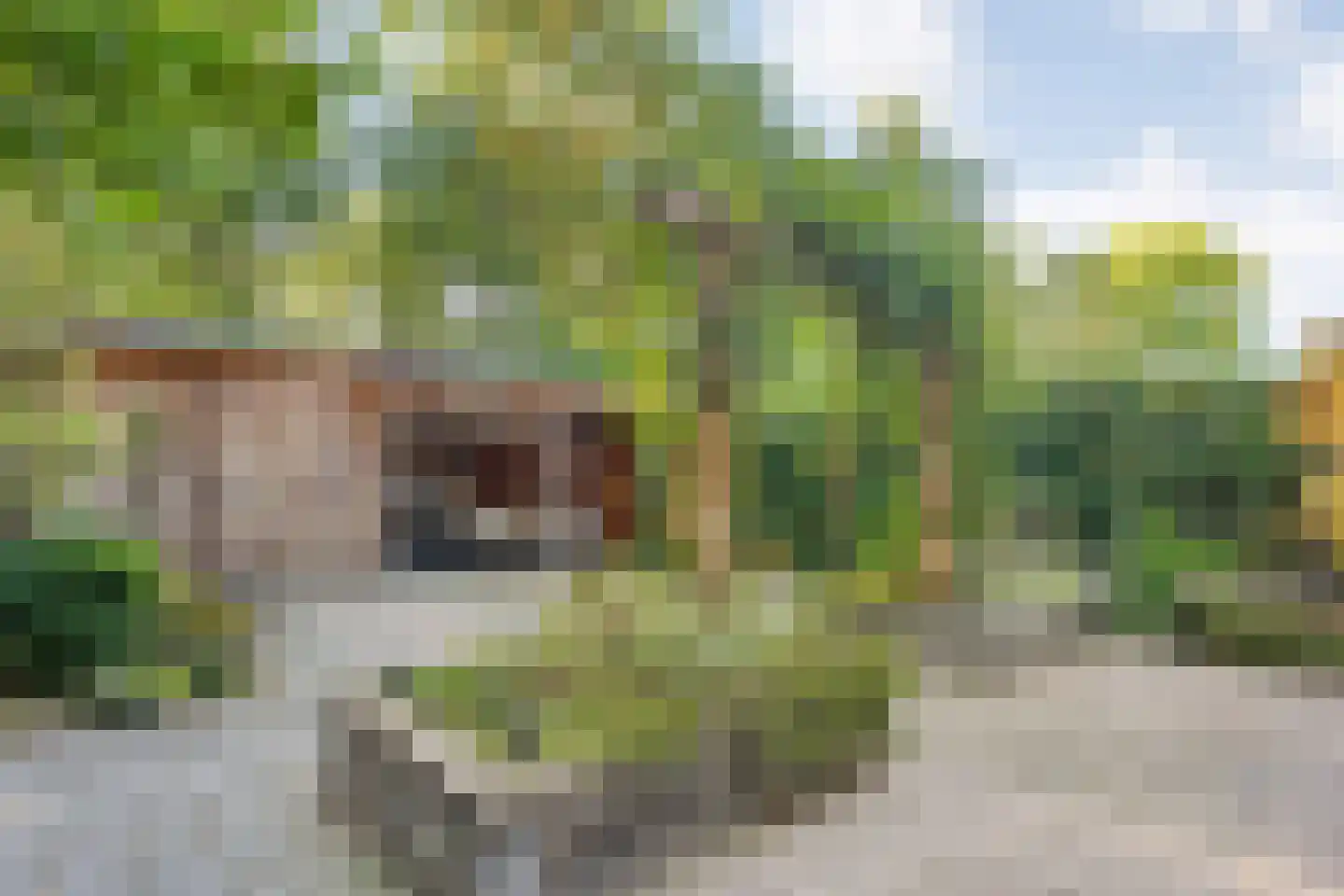 Vastertlanden 38 Enschede thumbnail 5