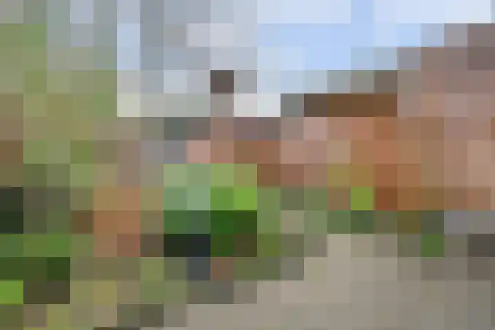 Vastertlanden 94 Enschede thumbnail 27
