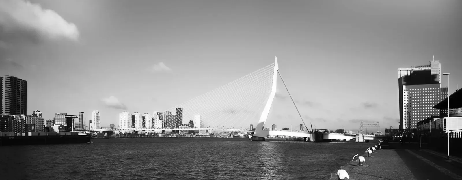 Team foto van Vastgoed 010 in Rotterdam