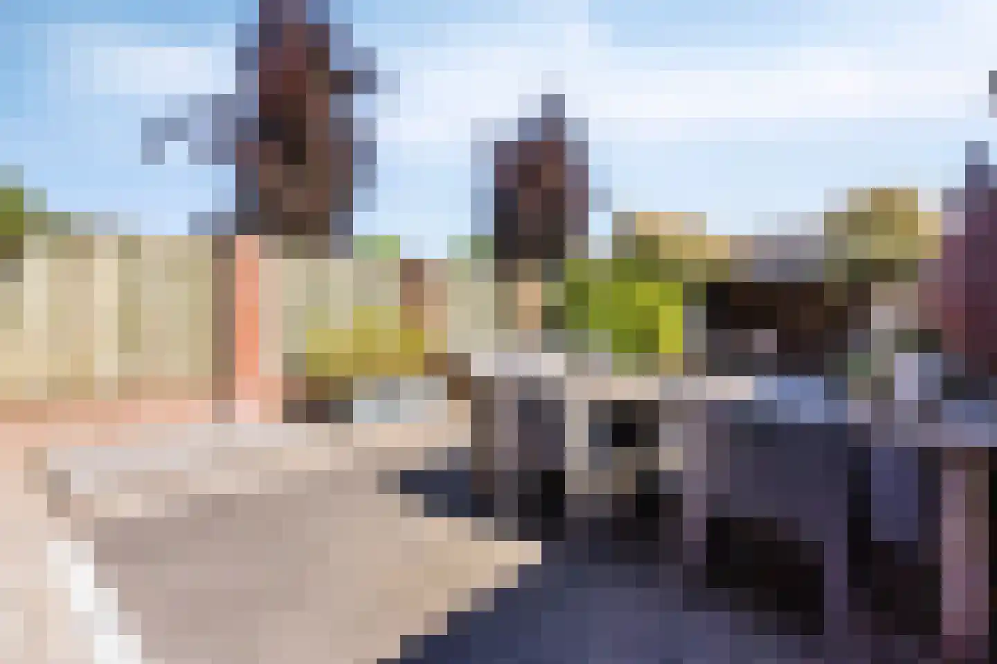 Vatsel 20 Uden thumbnail 28