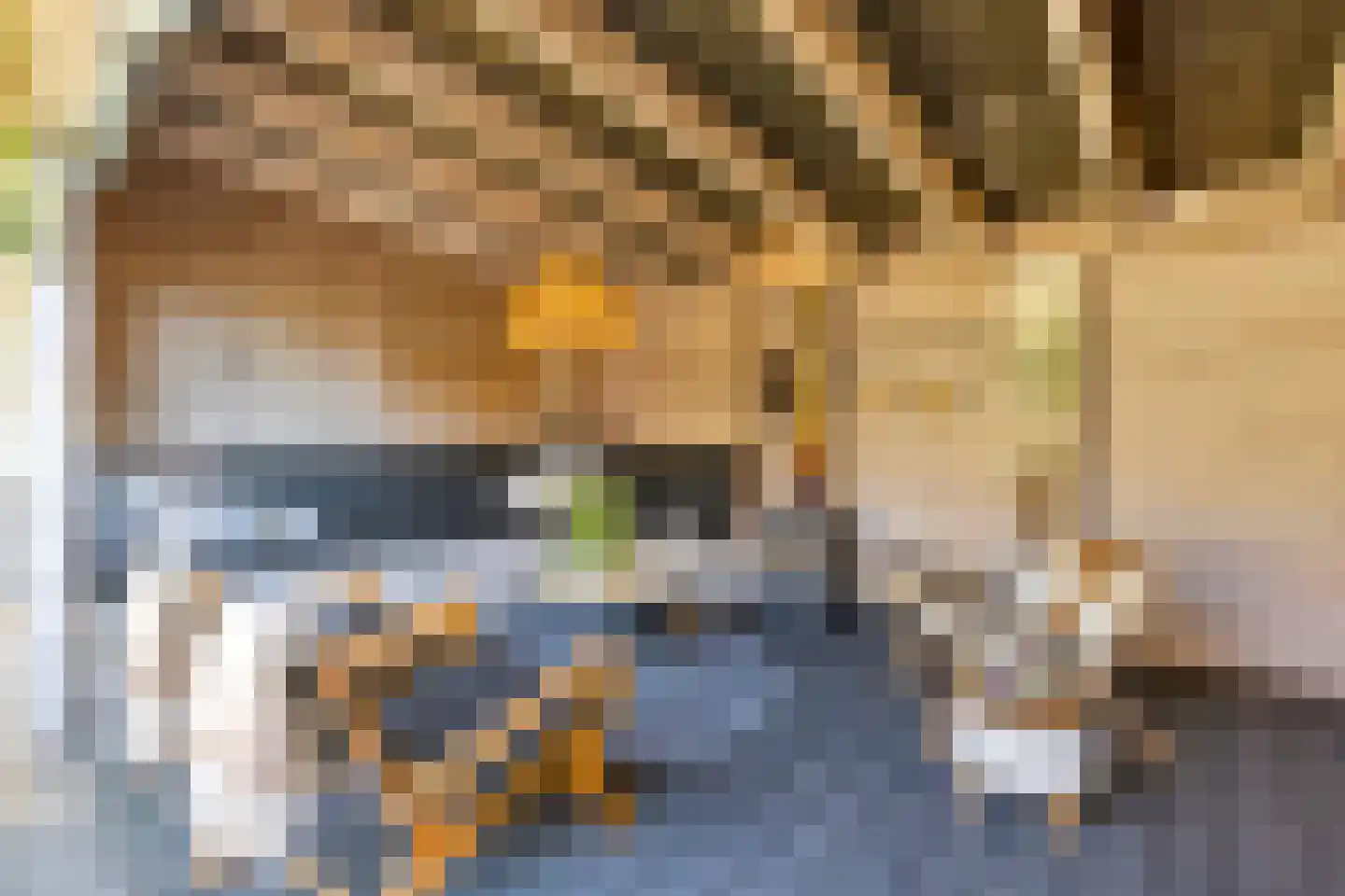 Vatsel 20 Uden thumbnail 30