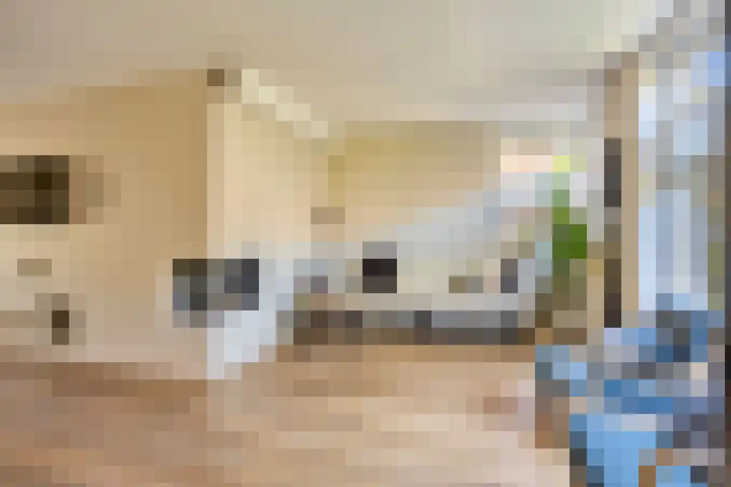 Vatsel 20 Uden thumbnail 8