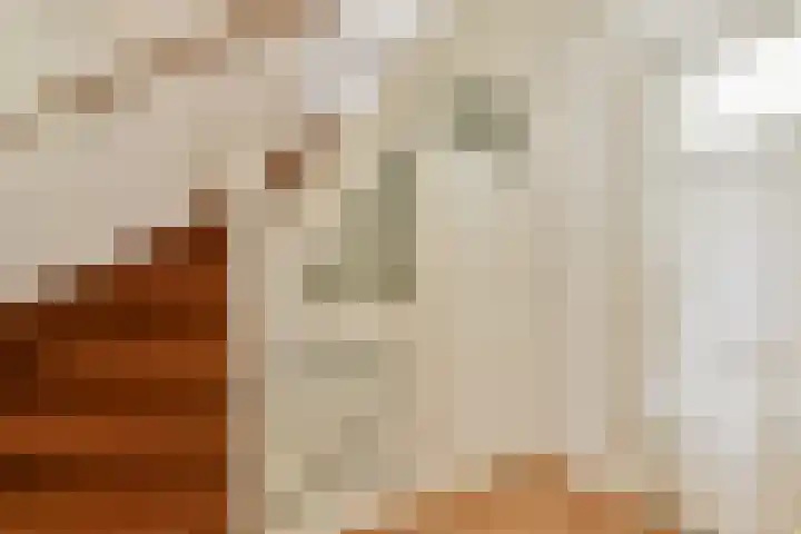 Vatsel 3 Uden thumbnail 17