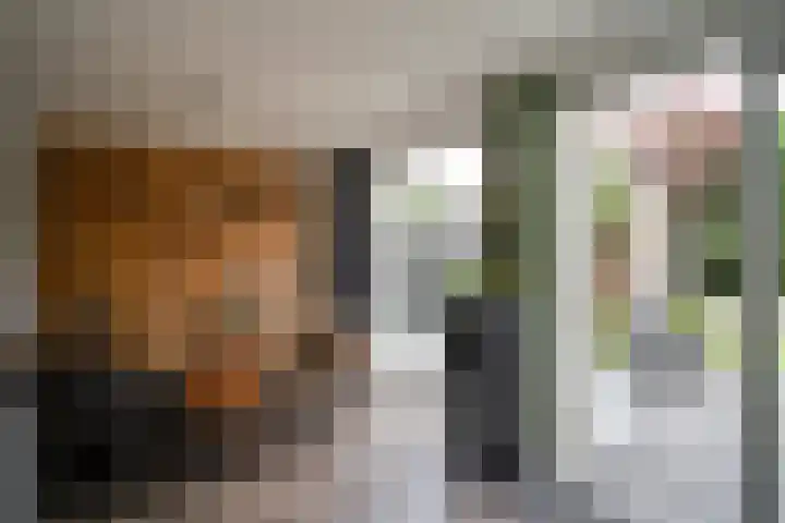 Vatsel 3 Uden thumbnail 18