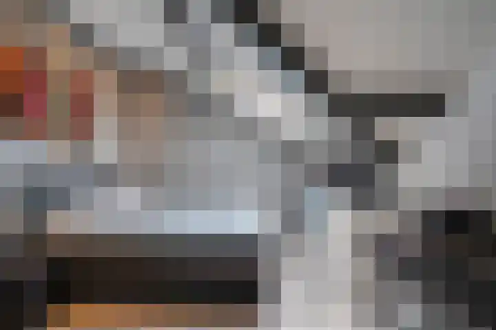 Vatsel 3 Uden thumbnail 29