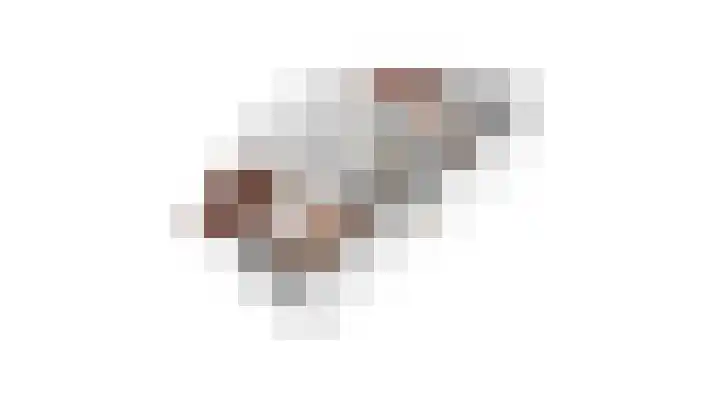 Vatsel 3 Uden thumbnail 40