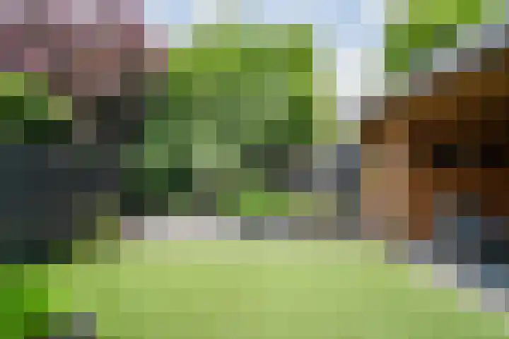 Vatsel 3 Uden thumbnail 7