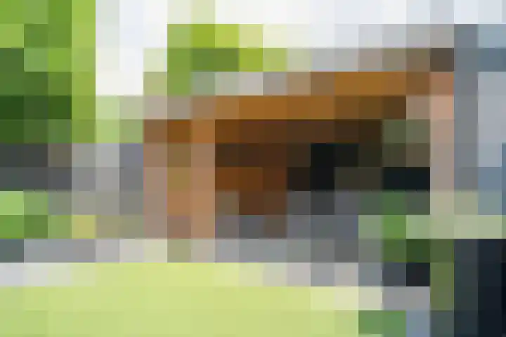 Vatsel 3 Uden thumbnail 9