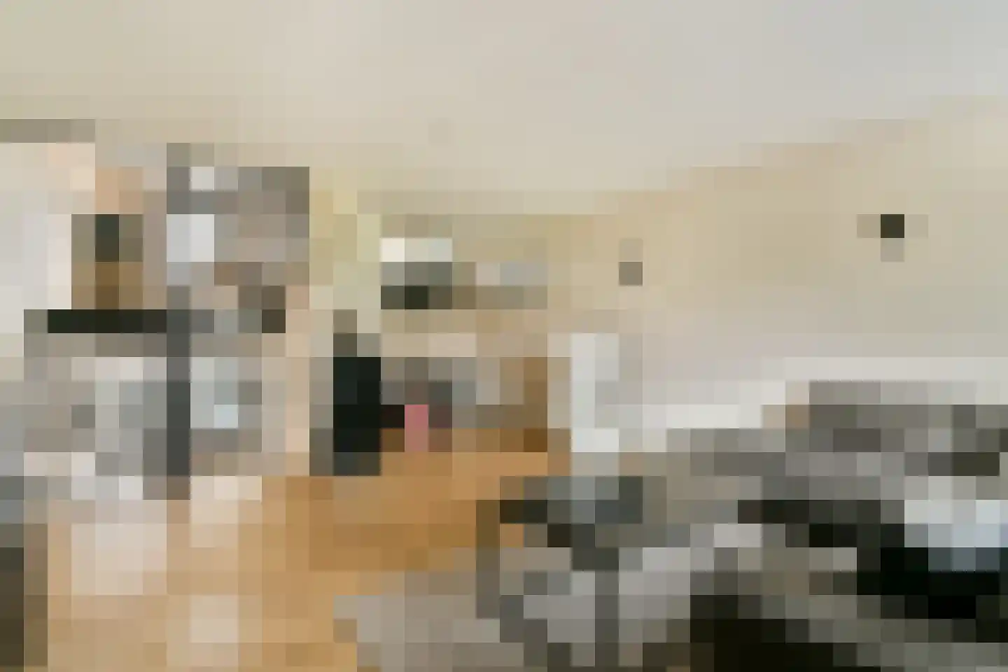 Vätternkade 87 Amsterdam thumbnail 9