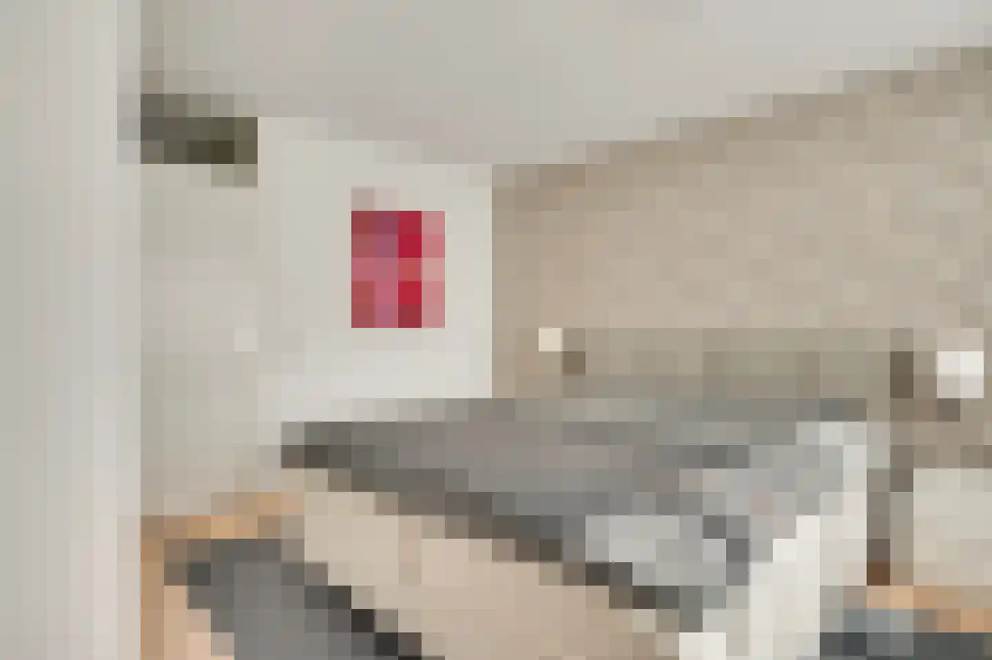 Vauwerhof 18 Meerssen thumbnail 18