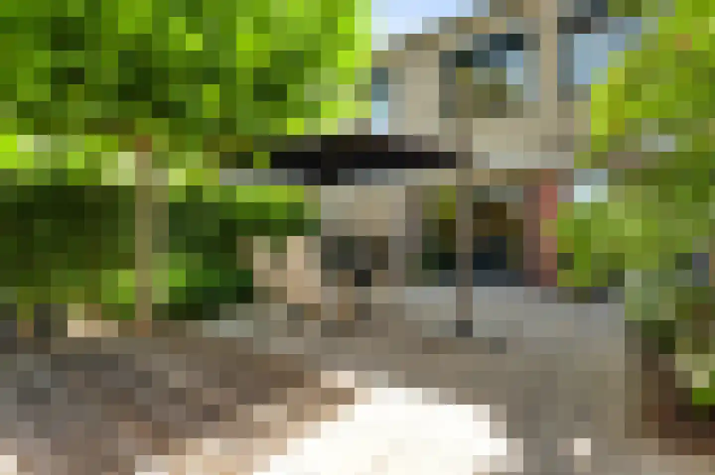 Vauwerhof 18 Meerssen thumbnail 23