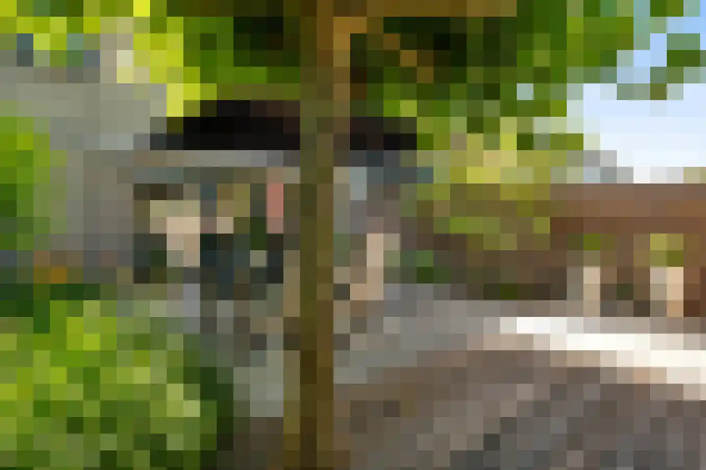 Vauwerhof 18 Meerssen thumbnail 24