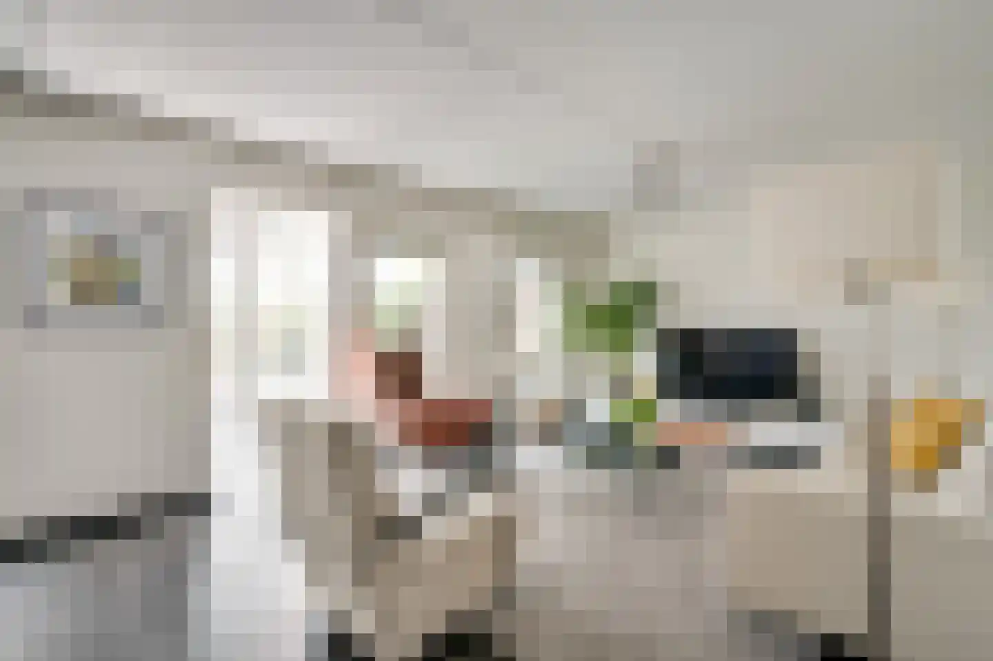 Vauwerhof 24 Meerssen thumbnail 7