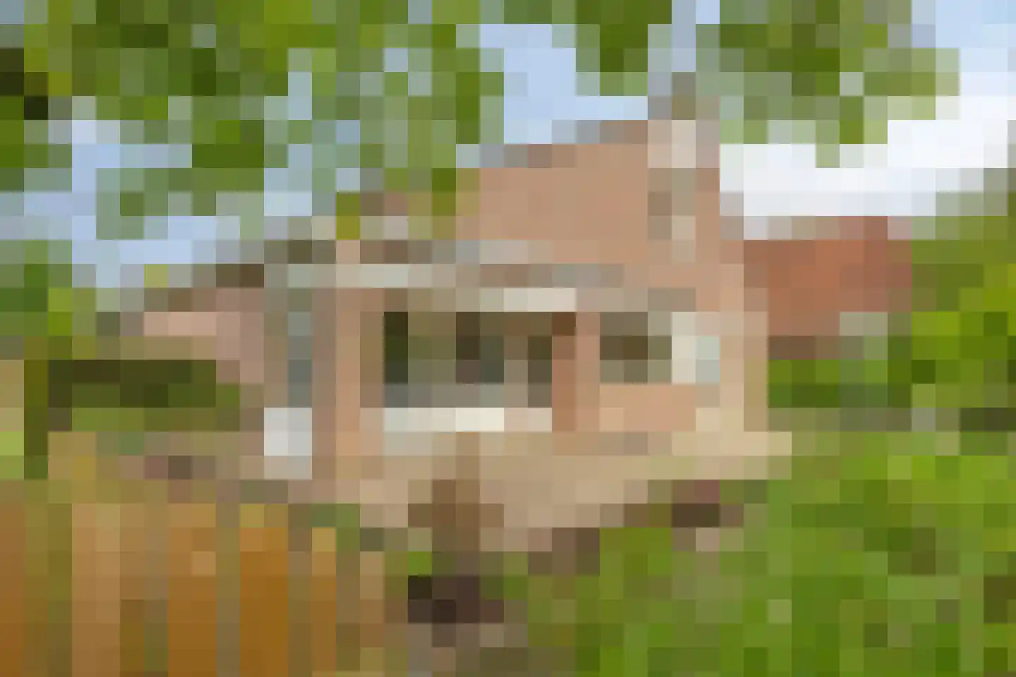 Vauwerhofweg 6 Schimmert thumbnail 5