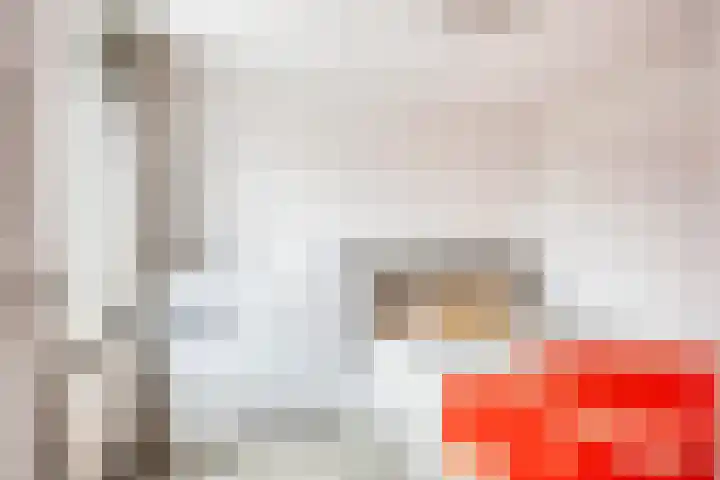 Vazalstraat 15 Tilburg thumbnail 21