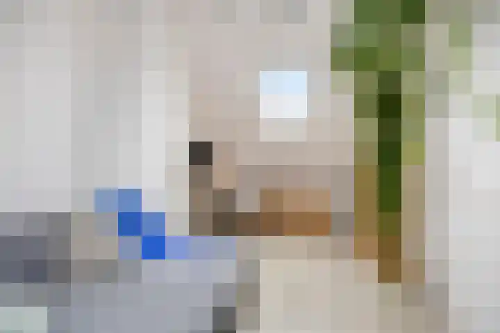Vazalstraat 15 Tilburg thumbnail 31