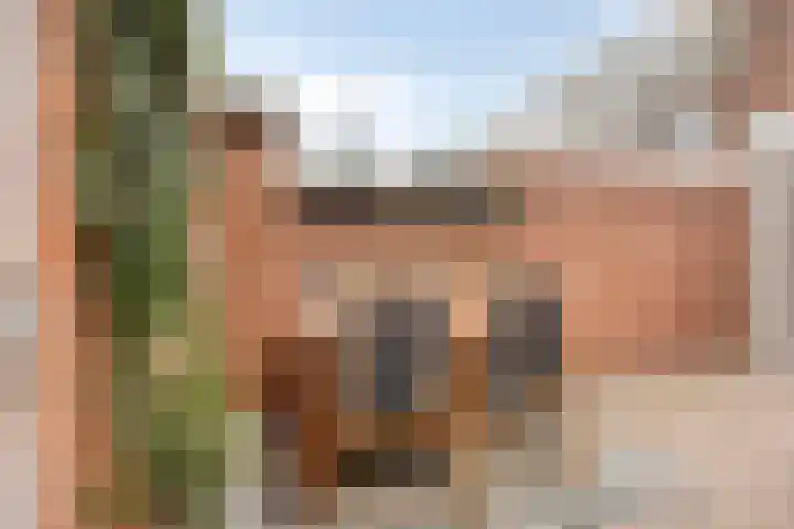 Vazalstraat 15 Tilburg thumbnail 34