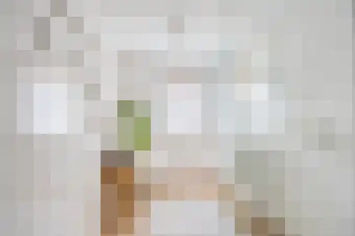 Vazalstraat 15 Tilburg thumbnail 6