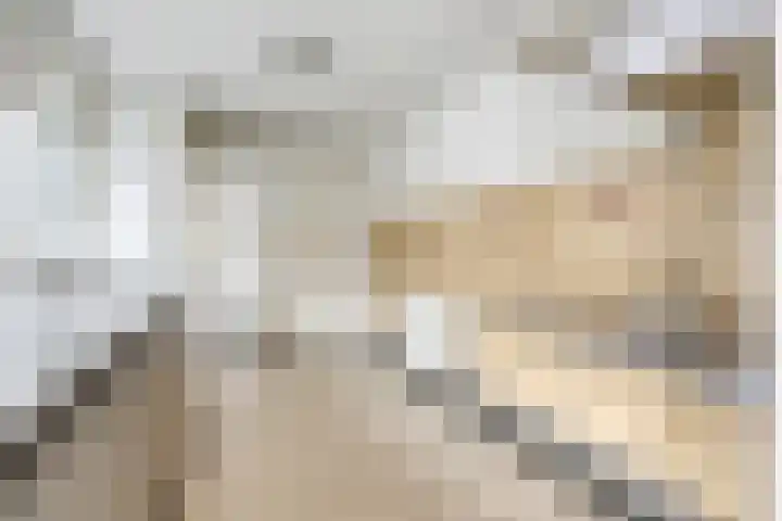 Vazalstraat 21 Tilburg thumbnail 10
