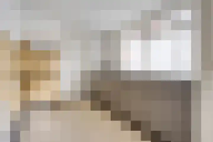 Vazalstraat 21 Tilburg thumbnail 9