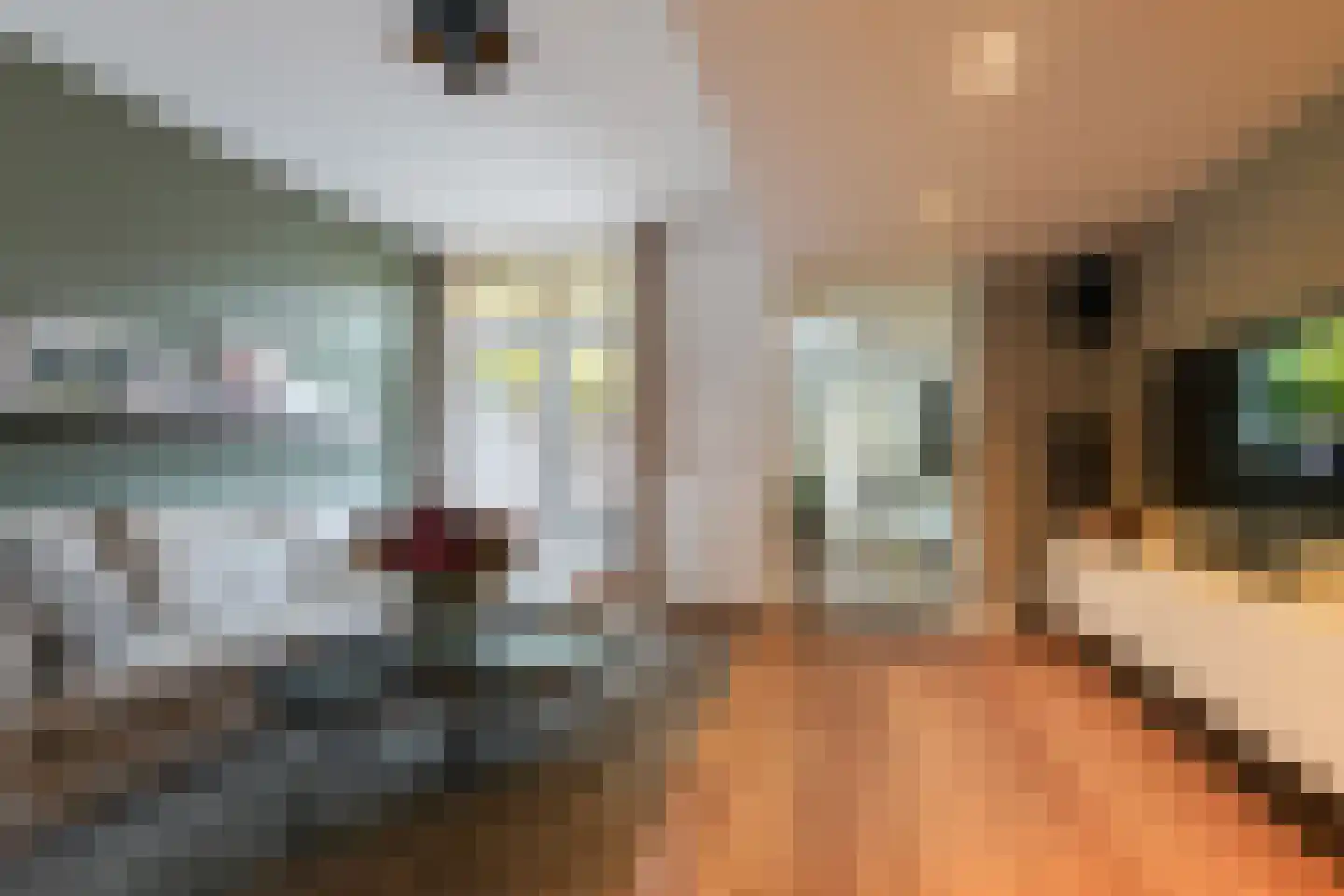Vazalstraat 4 Tilburg thumbnail 10
