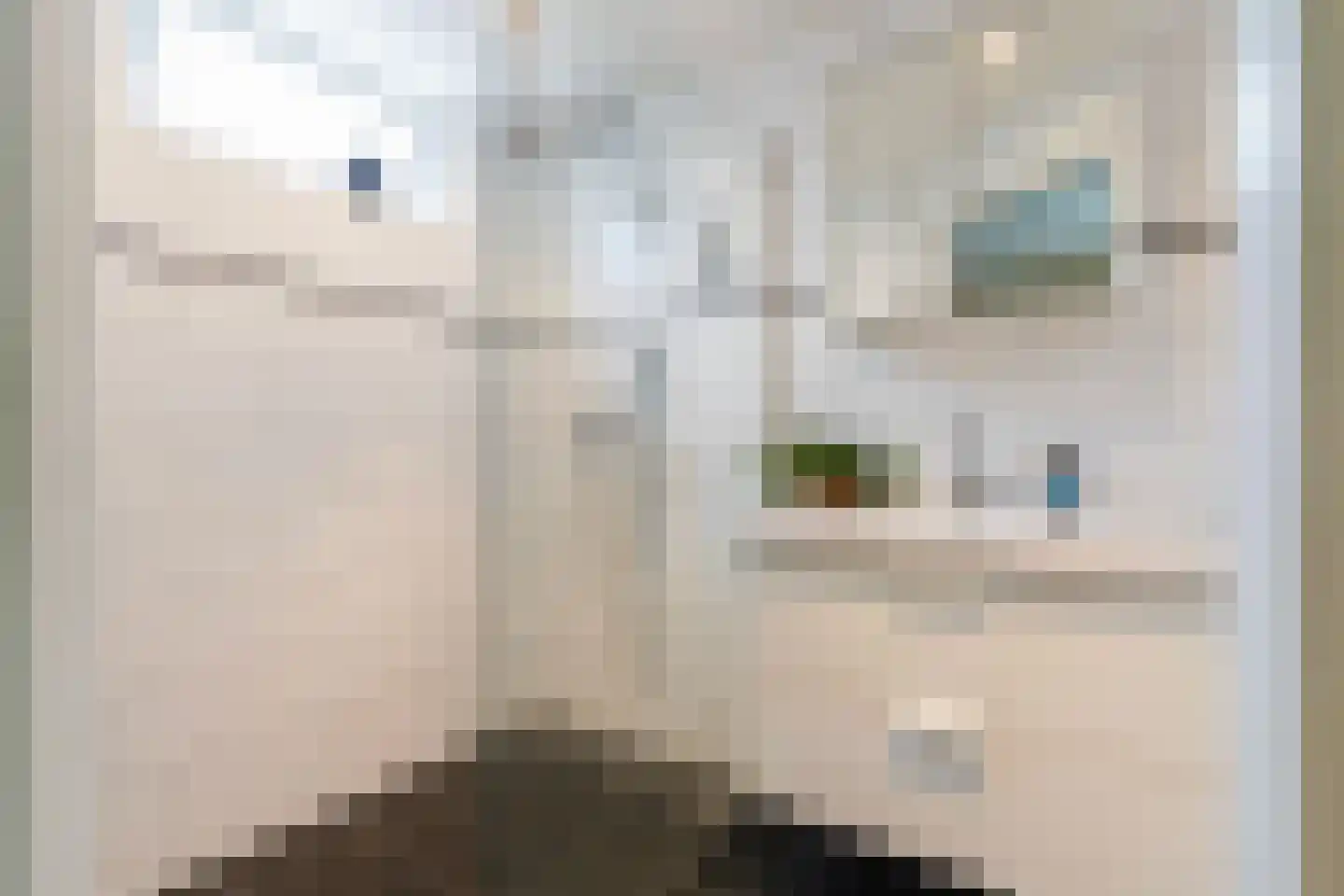 Vazalstraat 4 Tilburg thumbnail 15