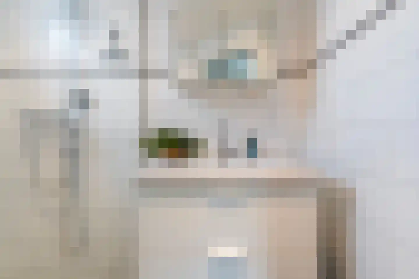 Vazalstraat 4 Tilburg thumbnail 16