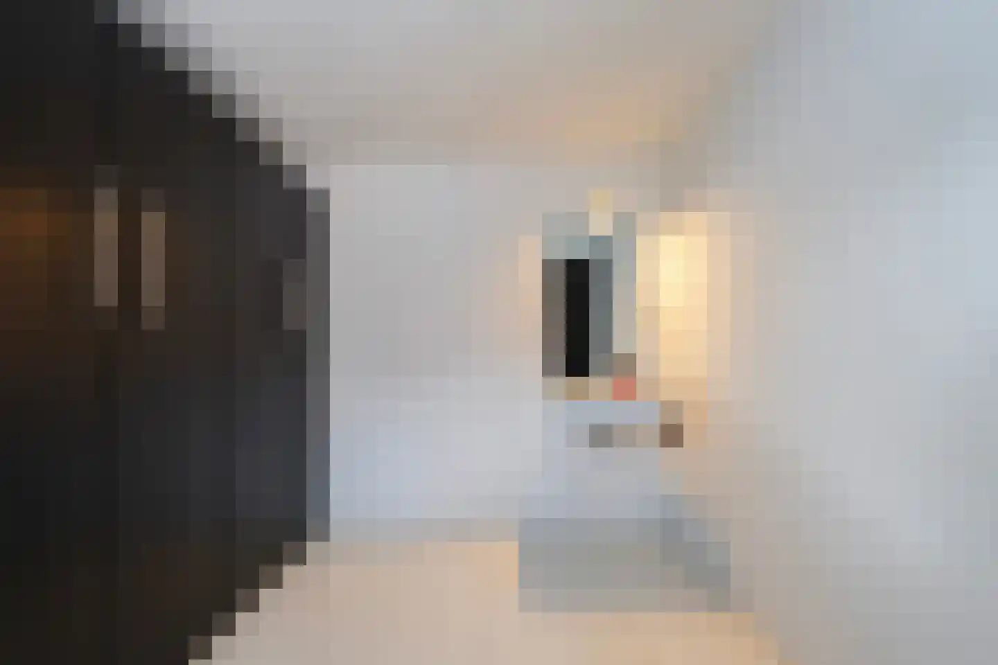 Vazalstraat 4 Tilburg thumbnail 25