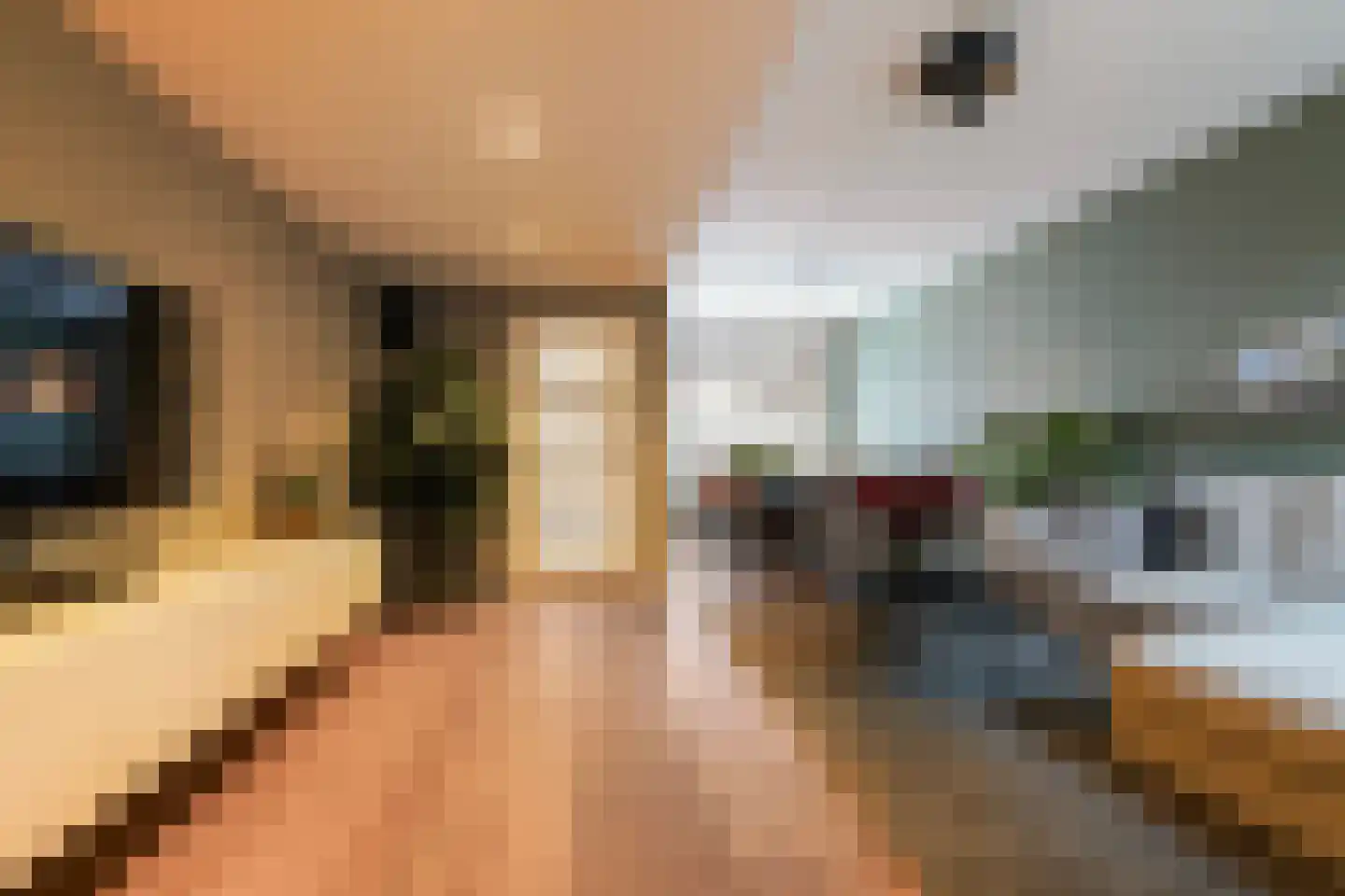 Vazalstraat 4 Tilburg thumbnail 5