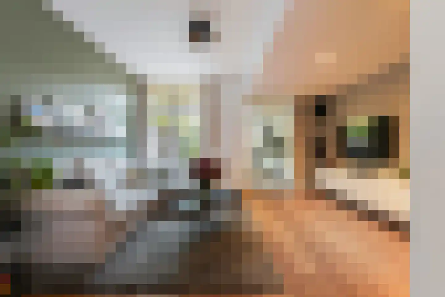 Vazalstraat 4 Tilburg thumbnail 8