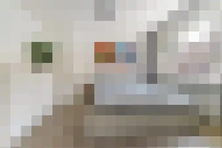 Vazalstraat 9 Tilburg thumbnail 17