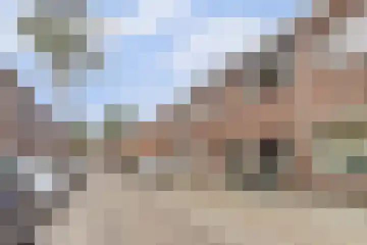 Vazalstraat 9 Tilburg thumbnail 34