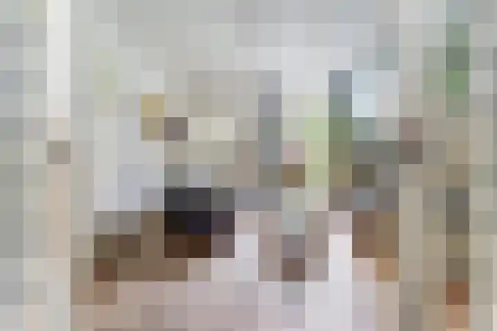 Vazalstraat 9 Tilburg thumbnail 5