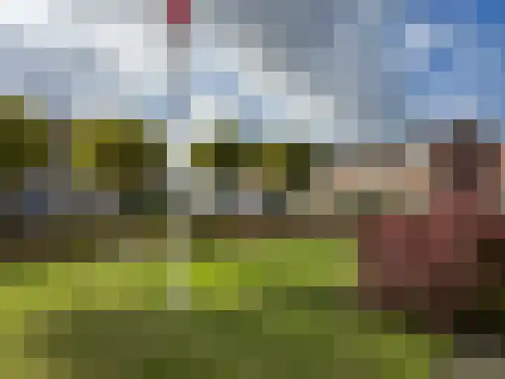 vd Duyn v Maasdamstr 13 Coevorden thumbnail 10