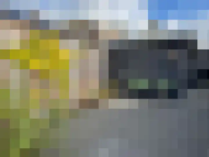 vd Duyn v Maasdamstr 13 Coevorden thumbnail 13