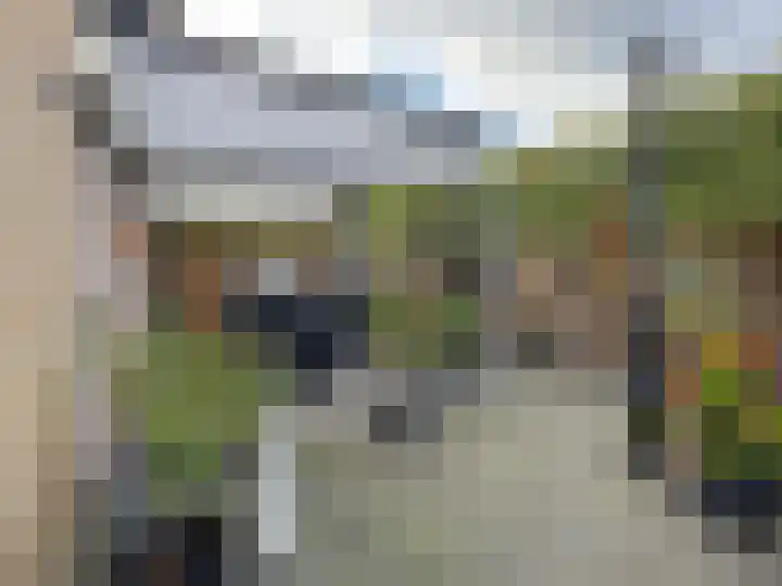 vd Duyn v Maasdamstr 13 Coevorden thumbnail 16