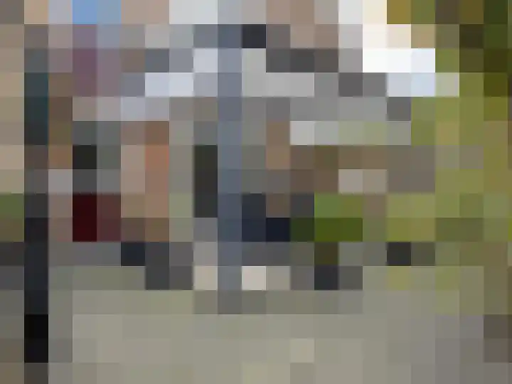 vd Duyn v Maasdamstr 13 Coevorden thumbnail 17