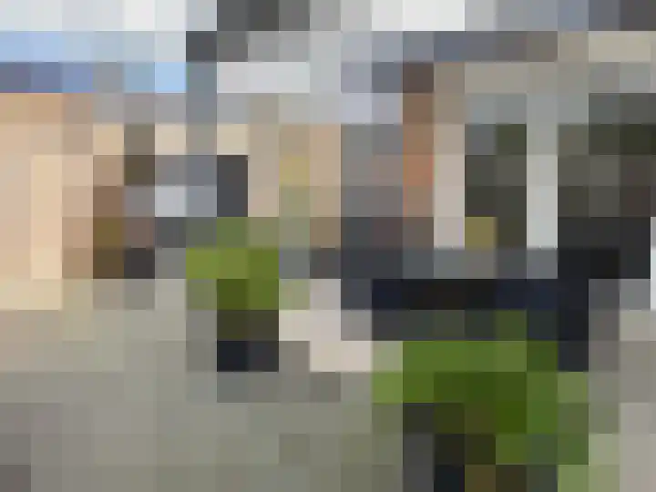 vd Duyn v Maasdamstr 13 Coevorden thumbnail 18