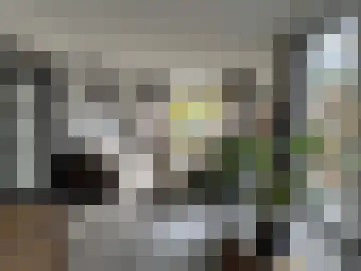 vd Duyn v Maasdamstr 13 Coevorden thumbnail 20