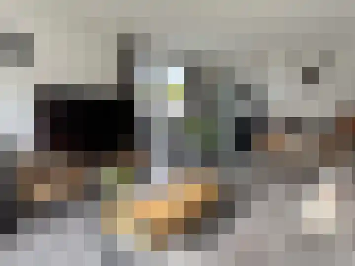 vd Duyn v Maasdamstr 13 Coevorden thumbnail 21