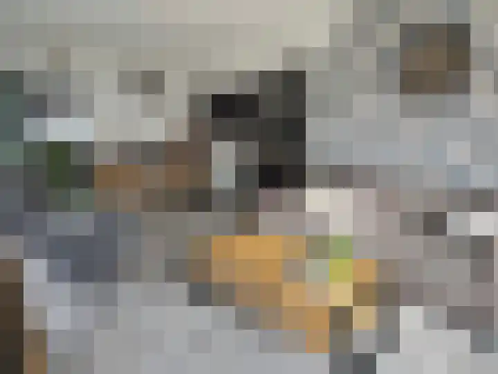 vd Duyn v Maasdamstr 13 Coevorden thumbnail 22