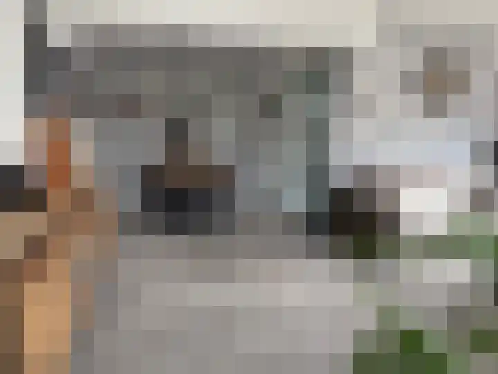 vd Duyn v Maasdamstr 13 Coevorden thumbnail 23