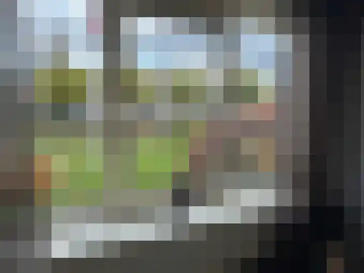 vd Duyn v Maasdamstr 13 Coevorden thumbnail 25