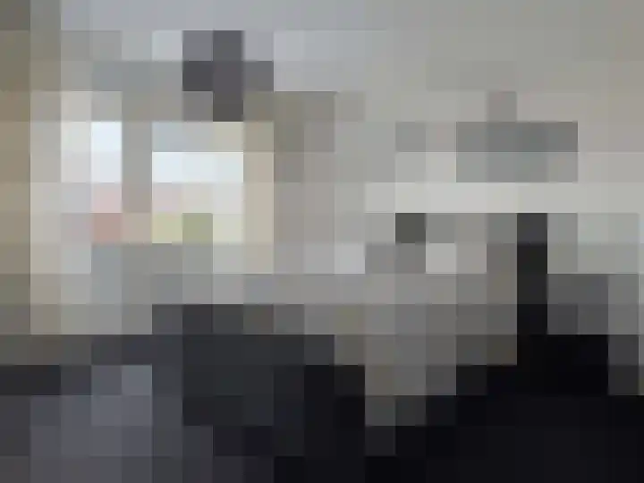 vd Duyn v Maasdamstr 13 Coevorden thumbnail 36