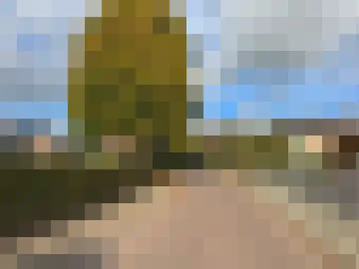 vd Duyn v Maasdamstr 13 Coevorden thumbnail 7