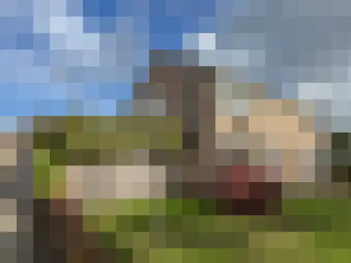 vd Duyn v Maasdamstr 13 Coevorden thumbnail 9