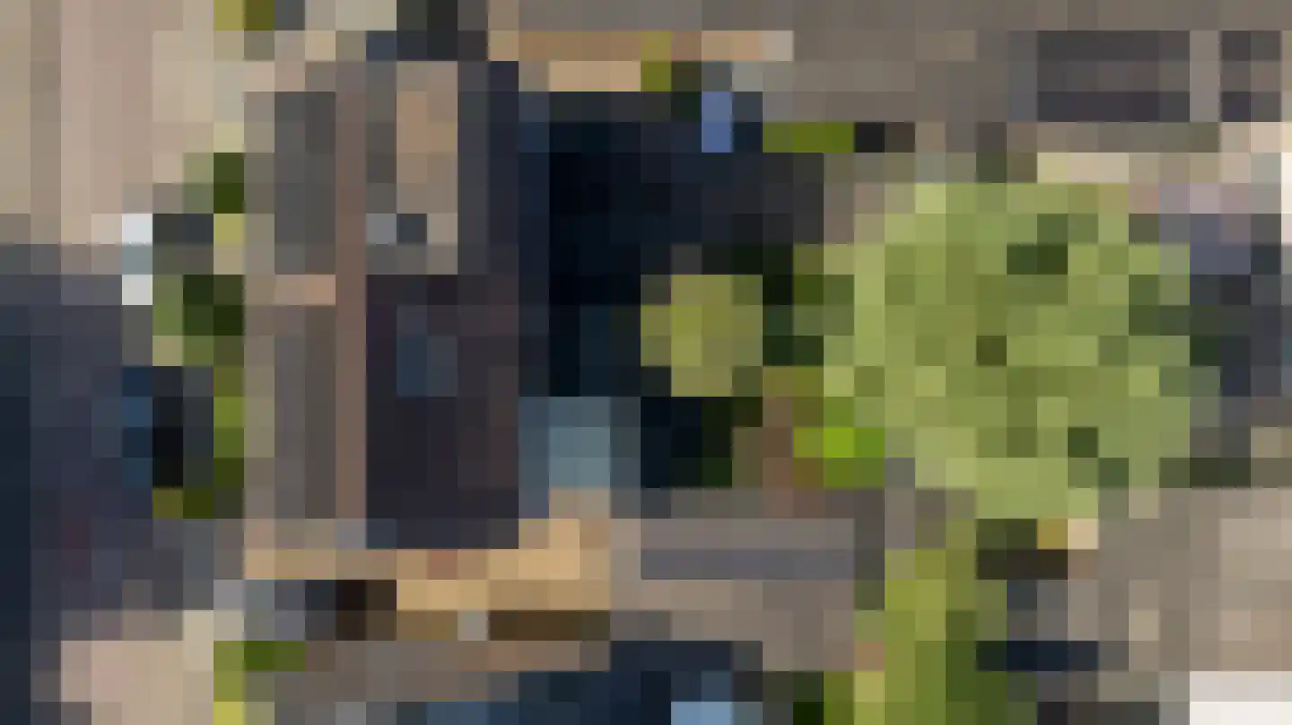 vd Duyn v Maasdamstr 3 Hoogeveen thumbnail 45