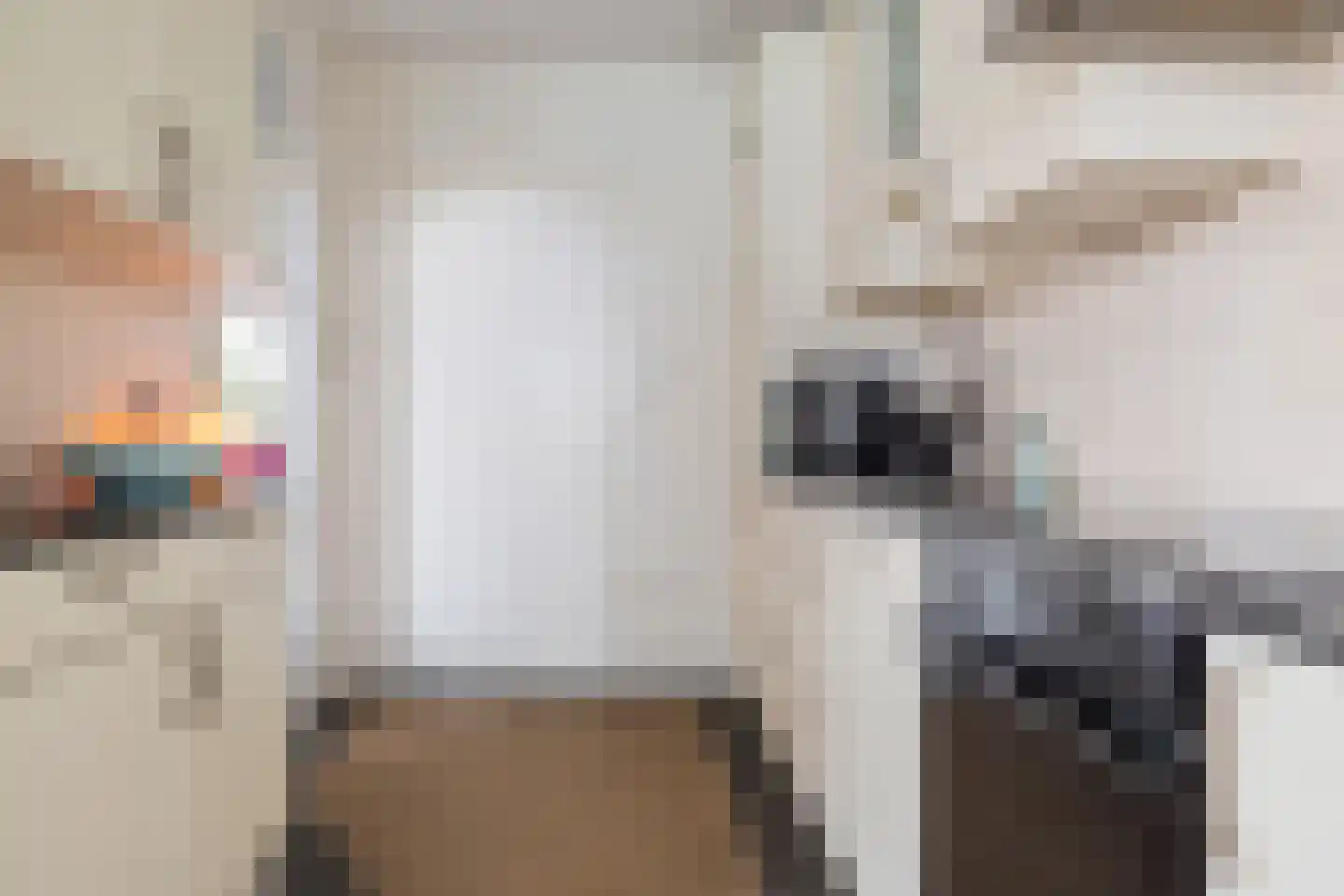 vd Duyn v Maasdamstr 3 Hoogeveen thumbnail 8